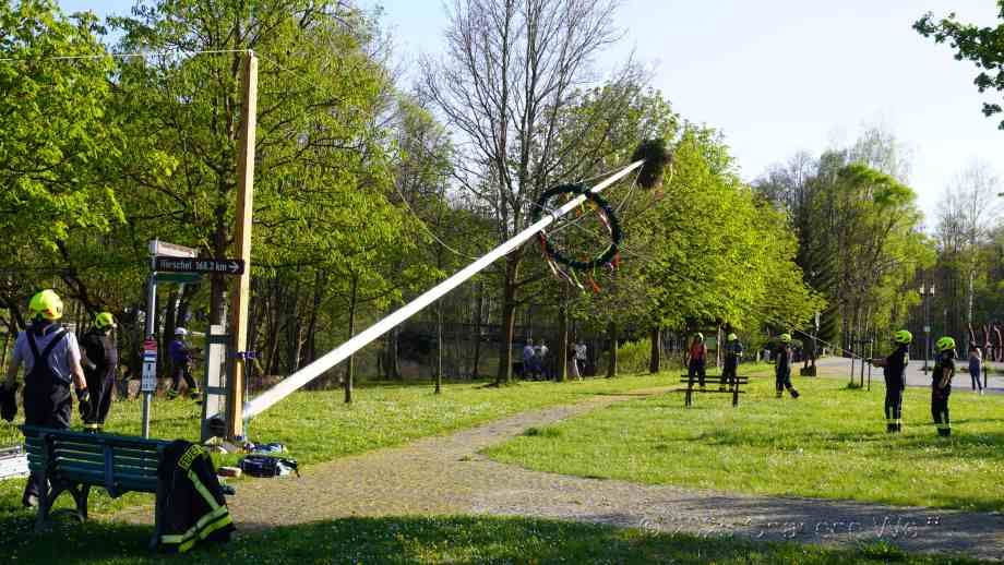 Der Maibaum wird aufgestellt